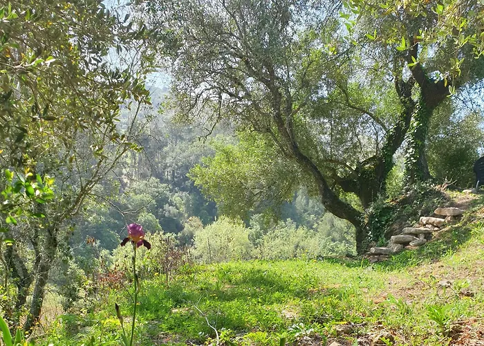 Casa Das Janelinhas - Cottage Near Sintra, Mafra, Ericeira