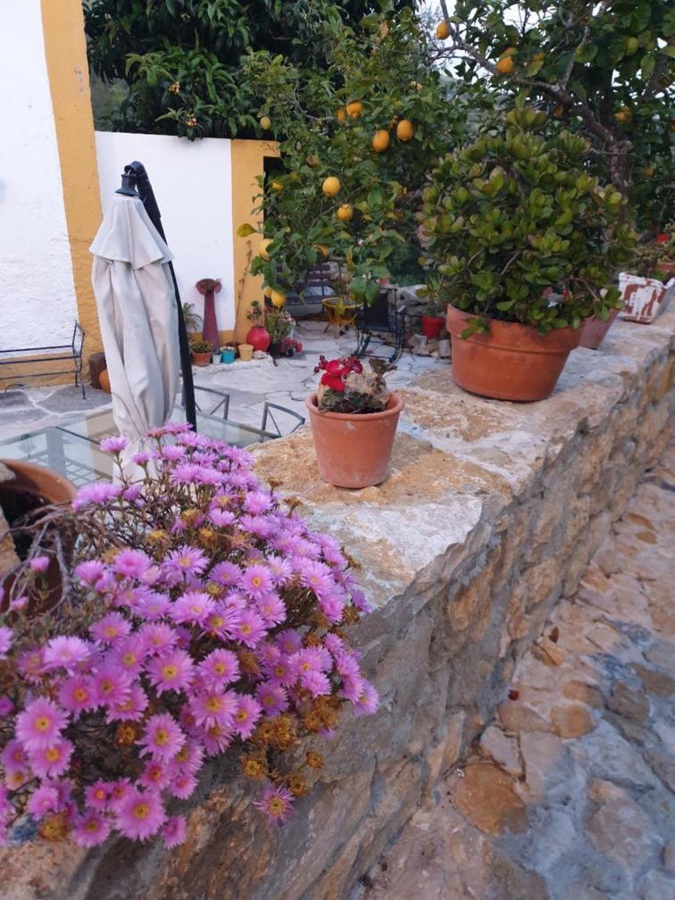 Casa Janelinhas - Near Sintra, Mafra, Ericeira * Mafra