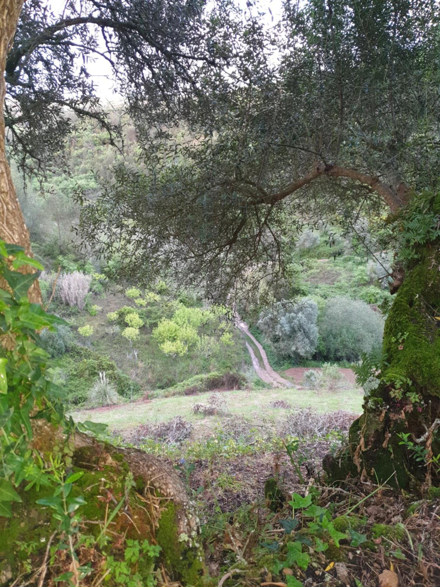 Casa Janelinhas - Near Sintra, Mafra, Ericeira * Mafra
