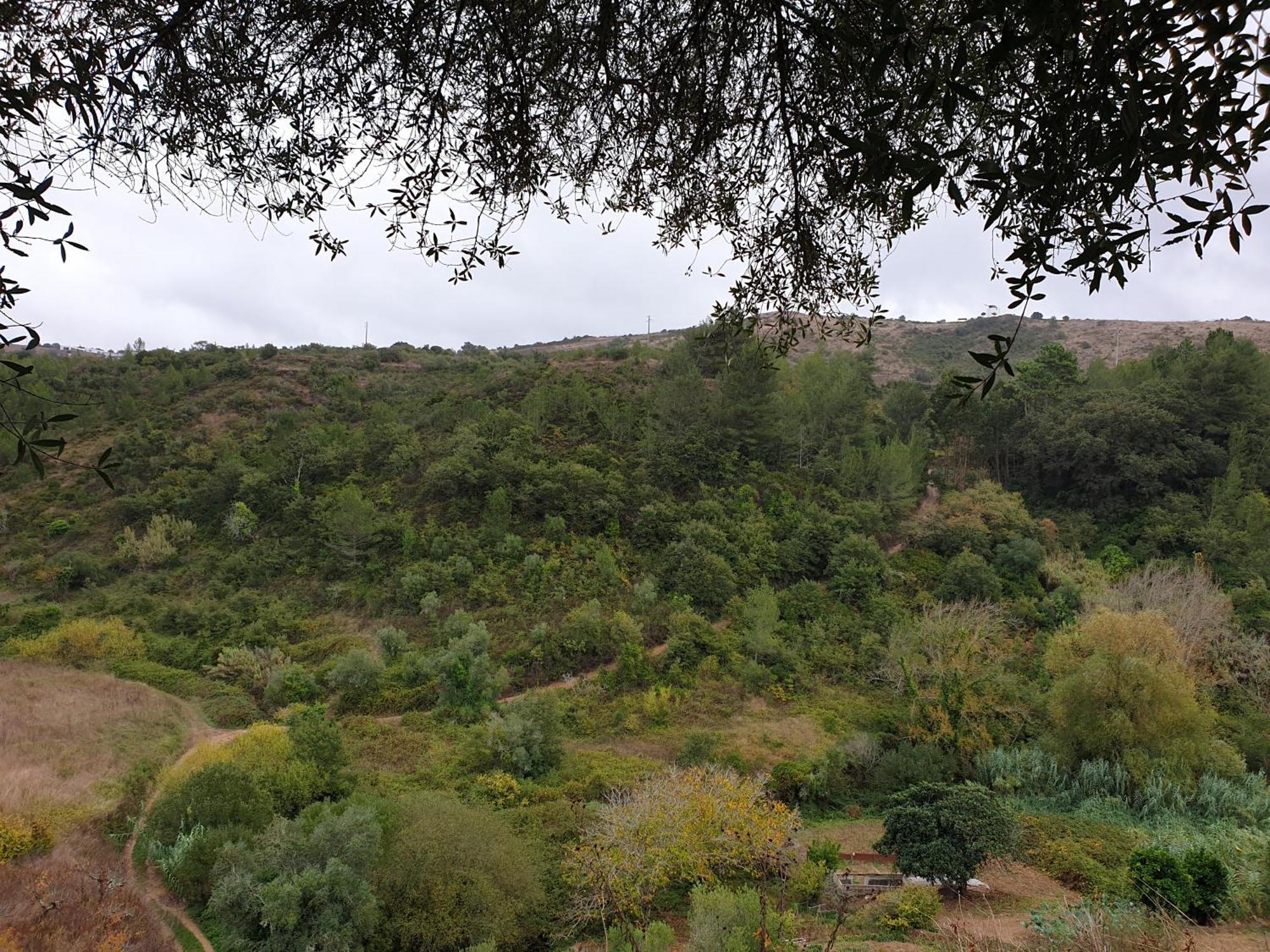 Casa Janelinhas - Near Sintra, Mafra, Ericeira