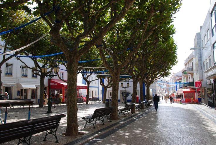 Holiday home Casa Janelinhas - Near Sintra, Mafra, Ericeira