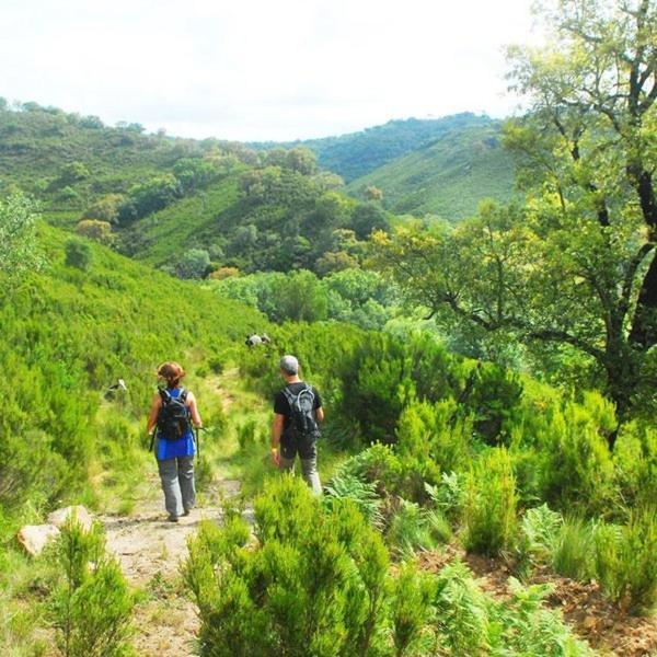 Holiday home Casa Janelinhas - Near Sintra, Mafra, Ericeira *
